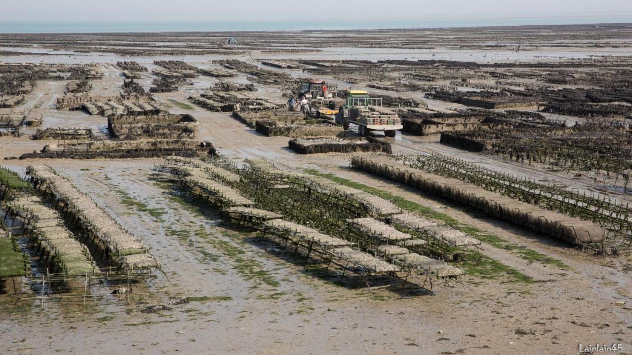 Petit Châtelet bis Hirel Buitenkant foto